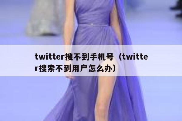 twitter搜不到手机号(twitter搜索不到用户怎么办) 第1张 twitter搜不到手机号(twitter搜索不到用户怎么办) 第1张