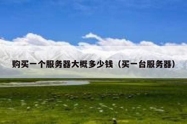 购买一个服务器大概多少钱（买一台服务器） 第1张