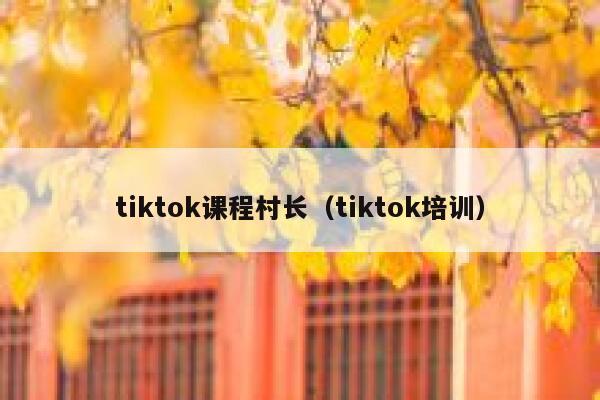 tiktok课程村长(tiktok培训) 第1张 tiktok课程村长(tiktok培训) 第1张