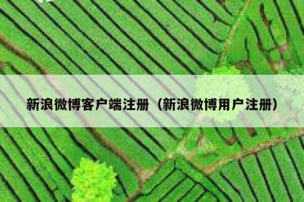 新浪微博客户端注册（新浪微博用户注册） 第1张