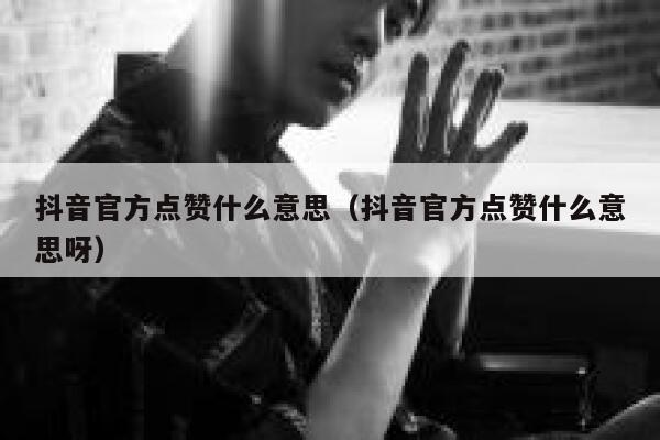 抖音官方点赞什么意思（抖音官方点赞什么意思呀） 第1张