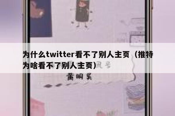 为什么twitter看不了别人主页（推特为啥看不了别人主页） 第1张
