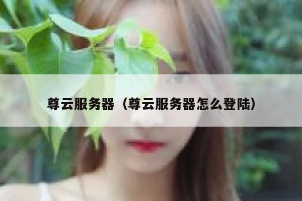 尊云服务器（尊云服务器怎么登陆） 第1张