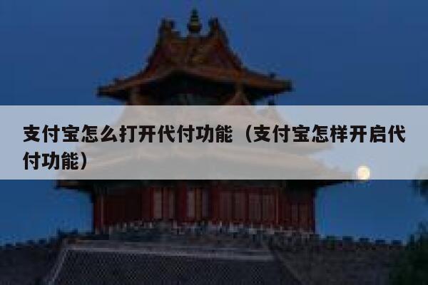 支付宝怎么打开代付功能（支付宝怎样开启代付功能） 第1张