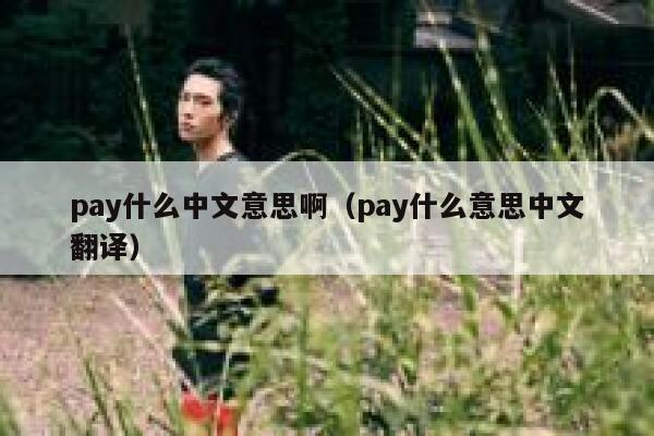 pay什么中文意思啊(pay什么意思中文翻译) 第1张 pay什么中文意思啊(pay什么意思中文翻译) 第1张