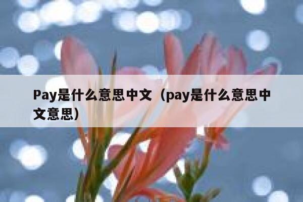 Pay是什么意思中文（pay是什么意思中文意思） 第1张