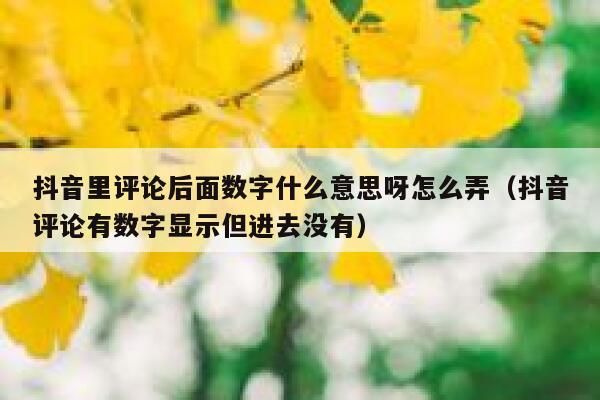 抖音里评论后面数字什么意思呀怎么弄（抖音评论有数字显示但进去没有） 第1张
