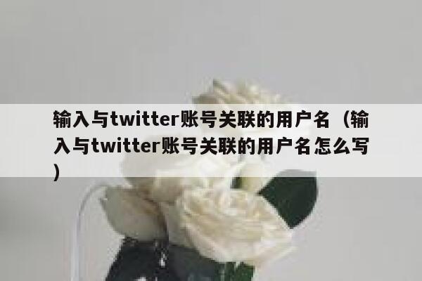 输入与twitter账号关联的用户名（输入与twitter账号关联的用户名怎么写） 第1张