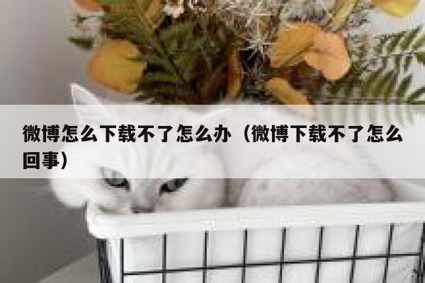 微博怎么下载不了怎么办（微博下载不了怎么回事） 第1张