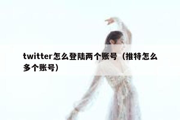 twitter怎么登陆两个账号（推特怎么多个账号） 第1张