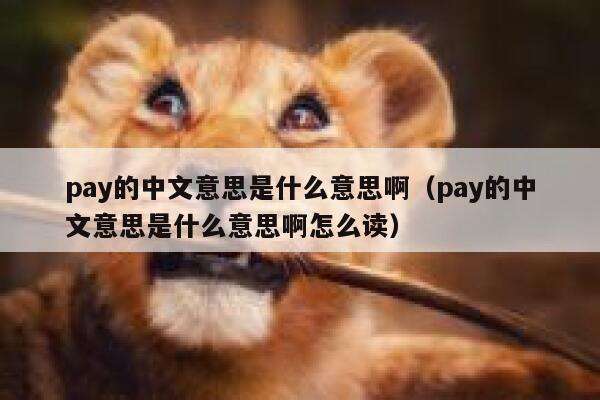 pay的中文意思是什么意思啊（pay的中文意思是什么意思啊怎么读） 第1张
