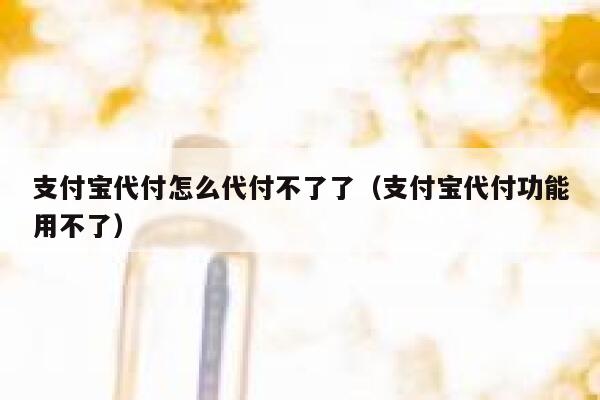 支付宝代付怎么代付不了了（支付宝代付功能用不了） 第1张