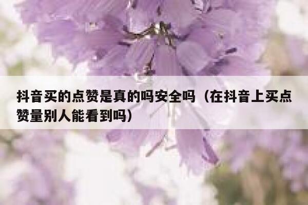 抖音买的点赞是真的吗安全吗（在抖音上买点赞量别人能看到吗） 第1张