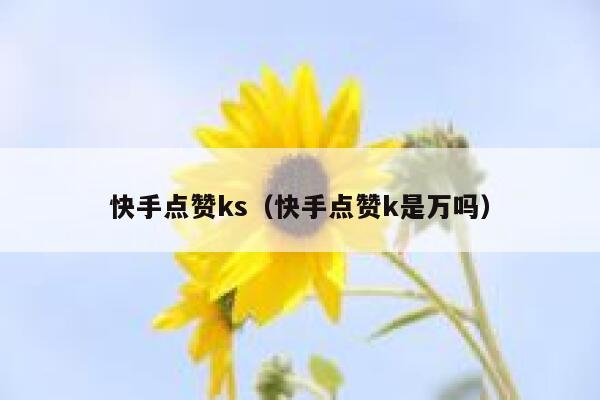 快手点赞ks（快手点赞k是万吗） 第1张