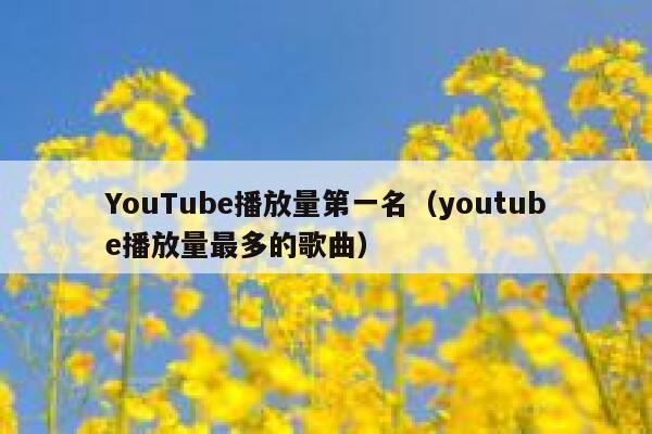 YouTube播放量第一名（youtube播放量最多的歌曲） 第1张