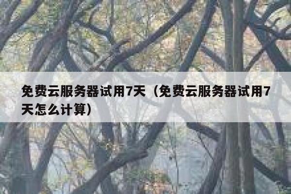 免费云服务器试用7天（免费云服务器试用7天怎么计算） 第1张