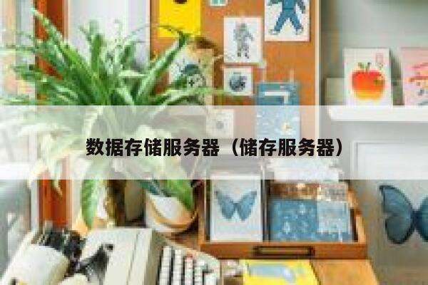 数据存储服务器（储存服务器） 第1张