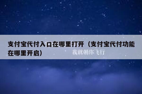 支付宝代付入口在哪里打开（支付宝代付功能在哪里开启） 第1张