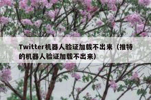 Twitter机器人验证加载不出来（推特的机器人验证加载不出来） 第1张