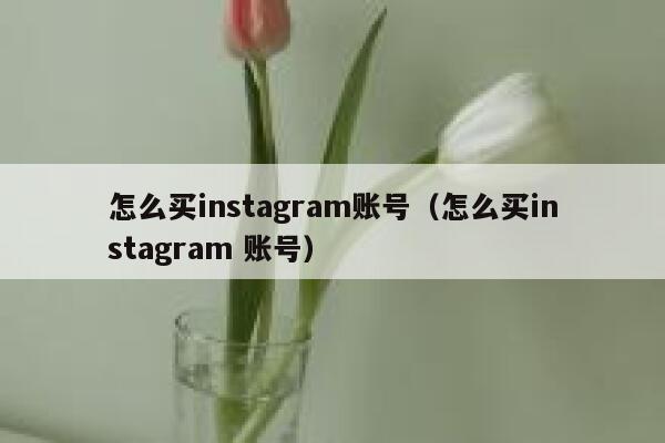 怎么买instagram账号（怎么买instagram 账号） 第1张