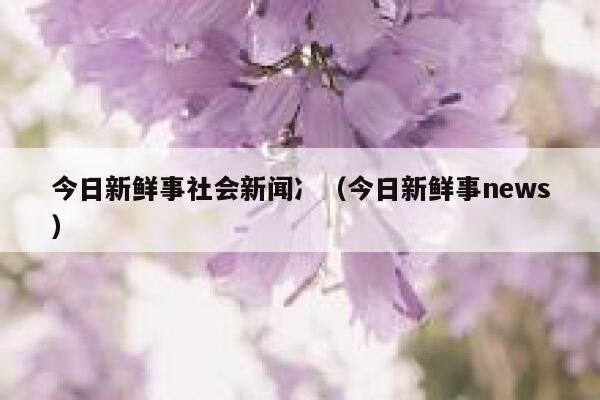 今日新鲜事社会新闻冫(今日新鲜事news) 第1张 今日新鲜事社会新闻冫(今日新鲜事news) 第1张