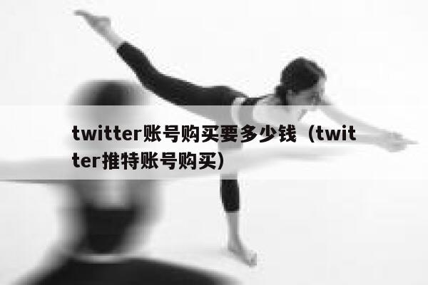 twitter账号购买要多少钱（twitter推特账号购买） 第1张