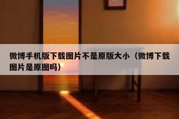 微博手机版下载图片不是原版大小（微博下载图片是原图吗） 第1张