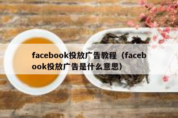 facebook投放广告教程（facebook投放广告是什么意思） 第1张