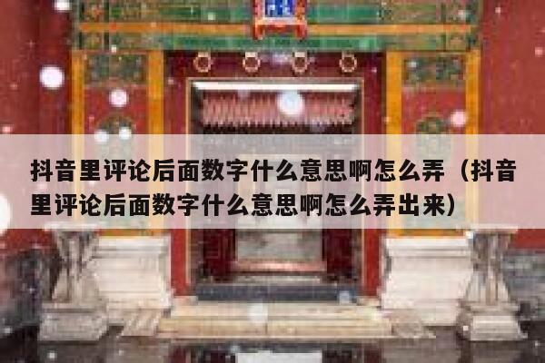 抖音里评论后面数字什么意思啊怎么弄（抖音里评论后面数字什么意思啊怎么弄出来） 第1张