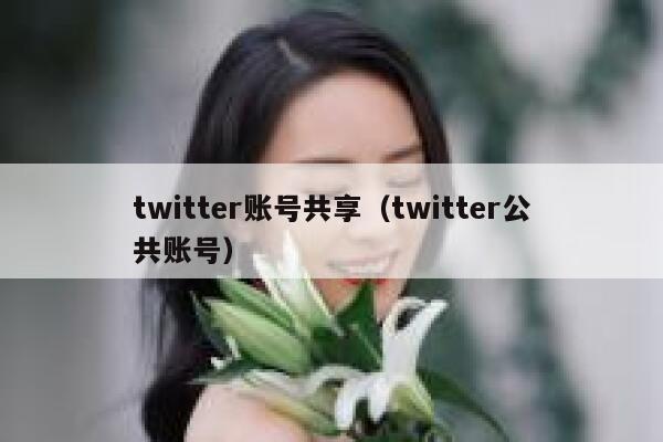 twitter账号共享（twitter公共账号） 第1张