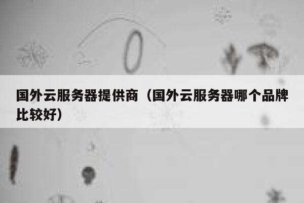 国外云服务器提供商（国外云服务器哪个品牌比较好） 第1张