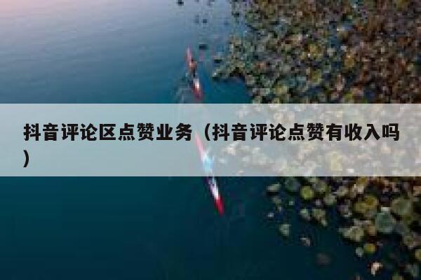 抖音评论区点赞业务（抖音评论点赞有收入吗） 第1张