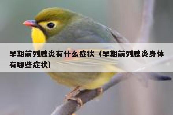 早期前列腺炎有什么症状（早期前列腺炎身体有哪些症状） 第1张