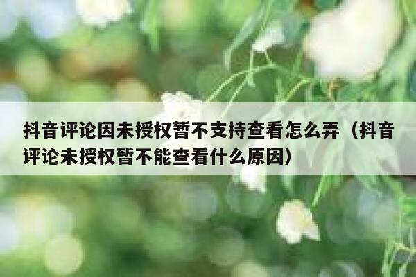 抖音评论因未授权暂不支持查看怎么弄（抖音评论未授权暂不能查看什么原因） 第1张
