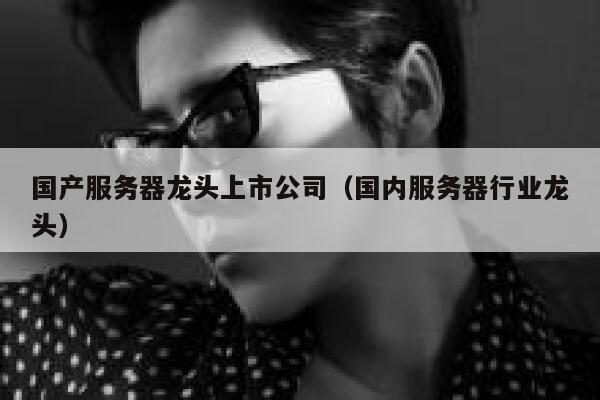 国产服务器龙头上市公司（国内服务器行业龙头） 第1张
