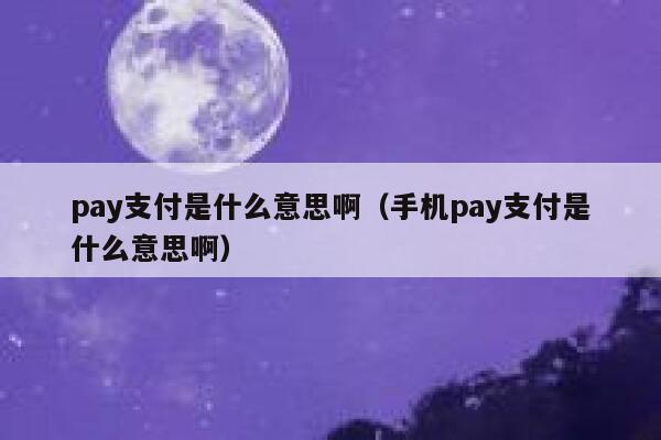 pay支付是什么意思啊（手机pay支付是什么意思啊） 第1张
