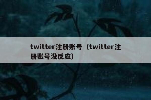 twitter注册账号（twitter注册账号没反应） 第1张