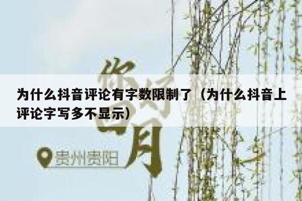 为什么抖音评论有字数限制了（为什么抖音上评论字写多不显示） 第1张