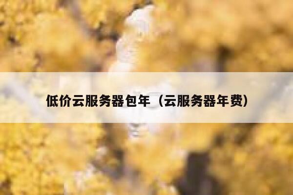 低价云服务器包年（云服务器年费） 第1张