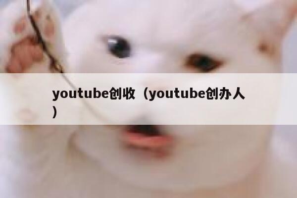 youtube创收（youtube创办人） 第1张