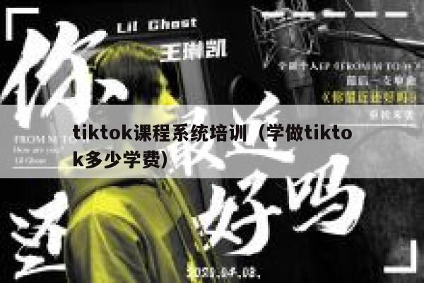 tiktok课程系统培训（学做tiktok多少学费） 第1张