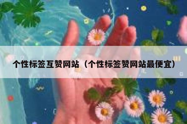 个性标签互赞网站（个性标签赞网站最便宜） 第1张