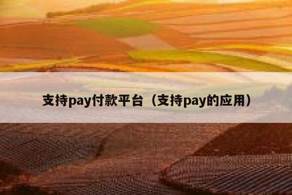 支持pay付款平台（支持pay的应用） 第1张