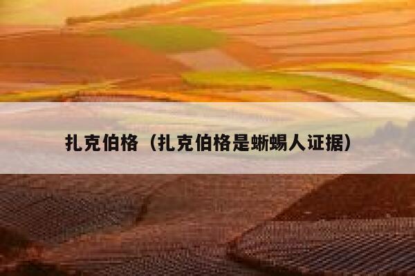 扎克伯格（扎克伯格是蜥蜴人证据） 第1张
