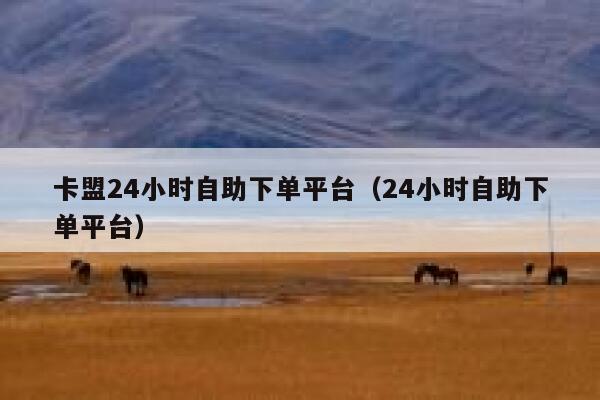卡盟24小时自助下单平台（24小时自助下单平台） 第1张