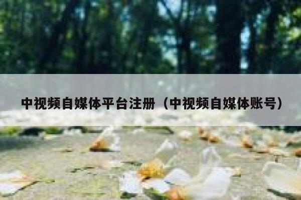 中视频自媒体平台注册（中视频自媒体账号） 第1张