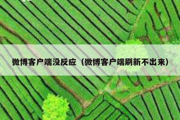 微博客户端没反应(微博客户端刷新不出来) 第1张 微博客户端没反应(微博客户端刷新不出来) 第1张