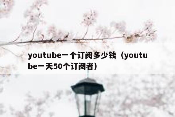 youtube一个订阅多少钱（youtube一天50个订阅者） 第1张