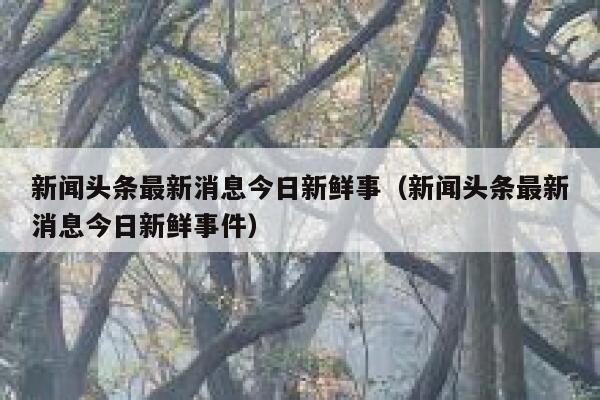 新闻头条最新消息今日新鲜事（新闻头条最新消息今日新鲜事件） 第1张