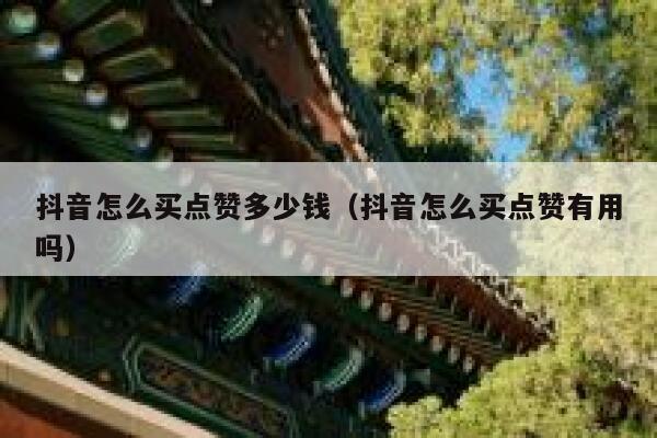 抖音怎么买点赞多少钱（抖音怎么买点赞有用吗） 第1张